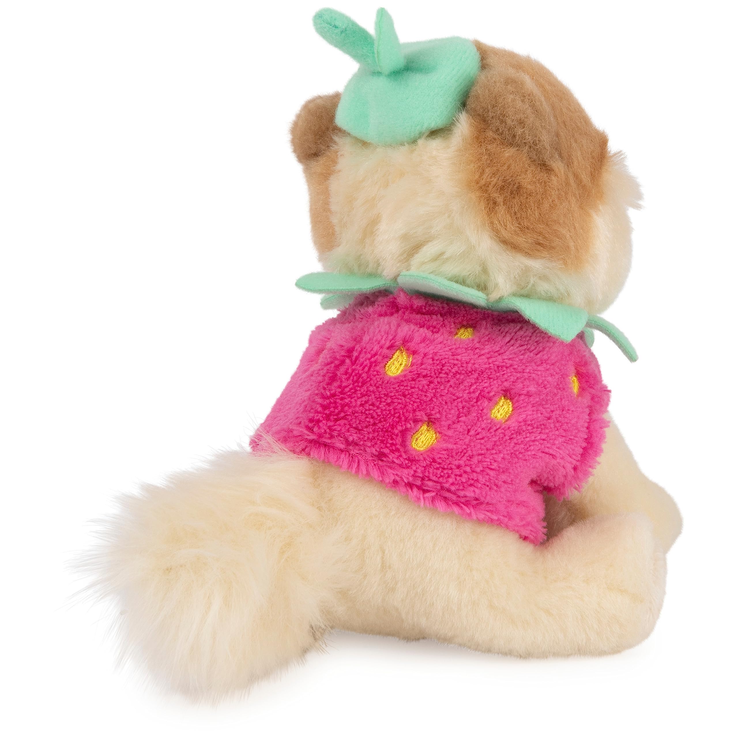 Amazon.co.jp: GUND Boo、世界一かわいい犬のイチゴぬいぐるみ